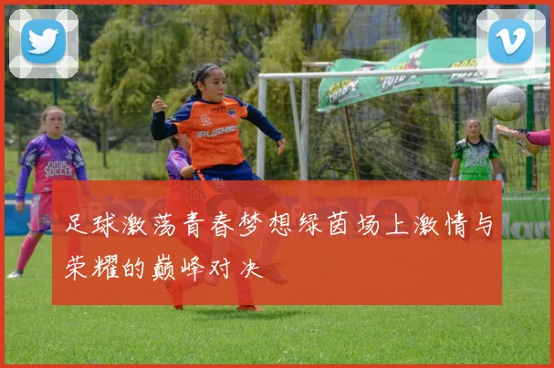 足球激荡青春梦想绿茵场上激情与荣耀的巅峰对决