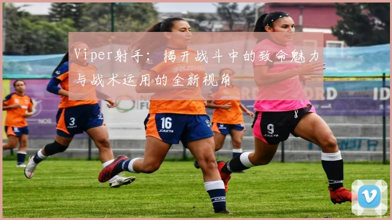 Viper射手：揭开战斗中的致命魅力与战术运用的全新视角