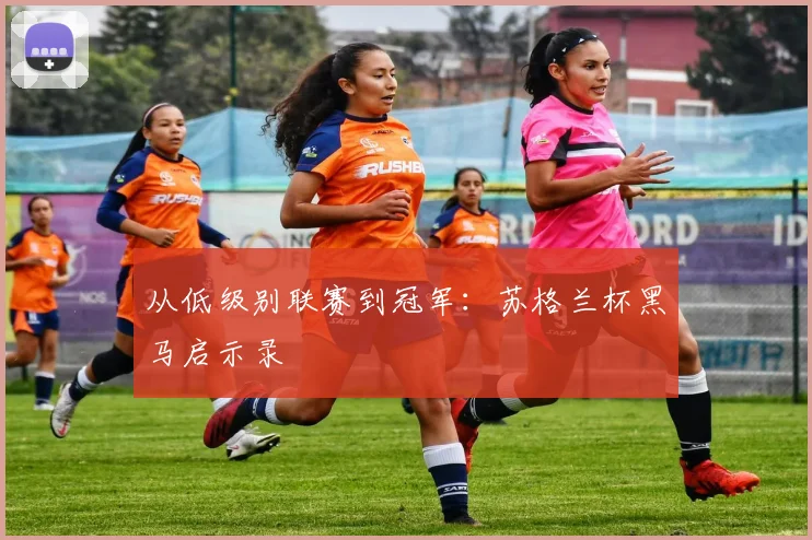 从低级别联赛到冠军：苏格兰杯黑马启示录