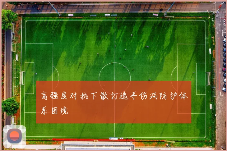 高强度对抗下散打选手伤病防护体系困境