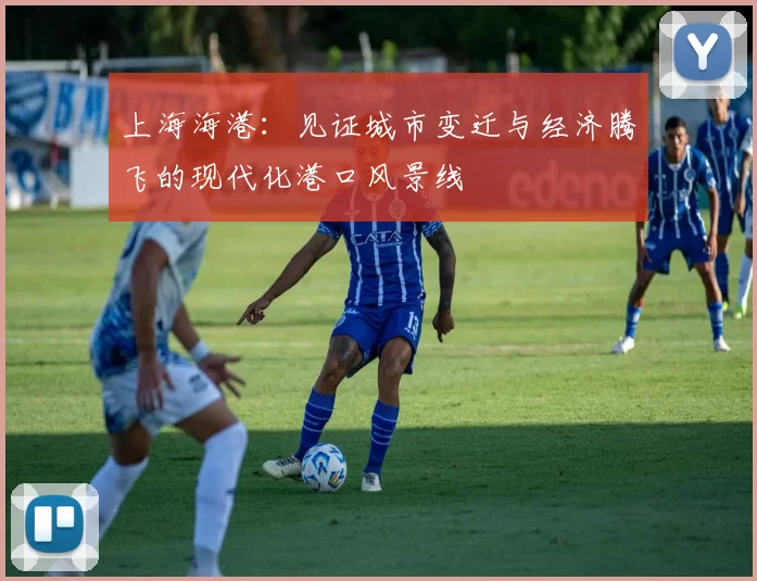 上海海港：见证城市变迁与经济腾飞的现代化港口风景线