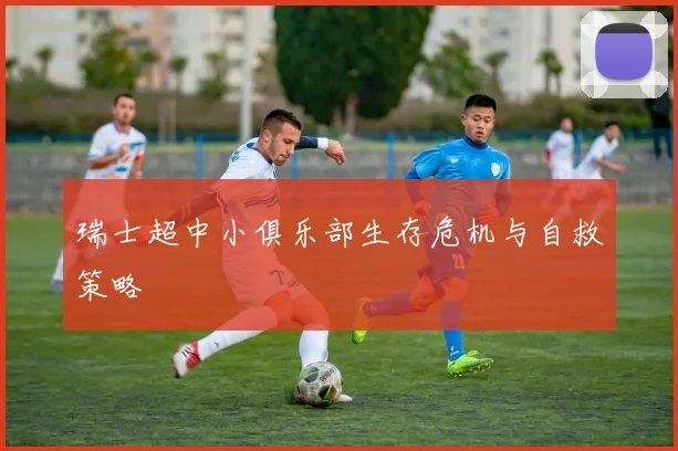 瑞士超中小俱乐部生存危机与自救策略