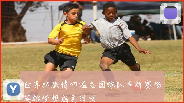 世界杯激情四溢各国球队争辉赛场英雄梦想成真时刻